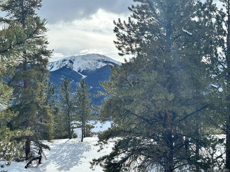 142 La Plata Peak Dr, Twin Lakes, CO 81251 - MLS 5208581 for Sale
