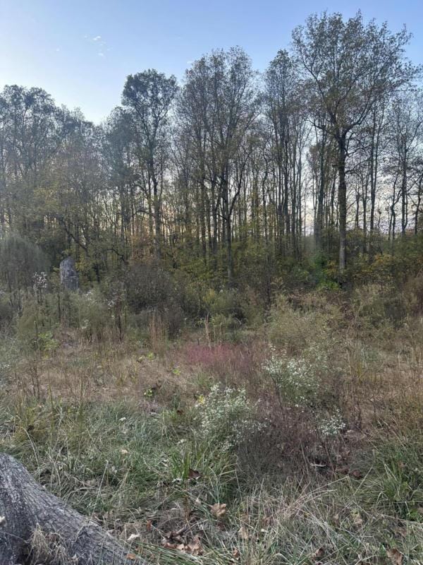 225 LAKE FOREST DR, Birchwood, TN 37308 Land For Sale  MLS# 1382294