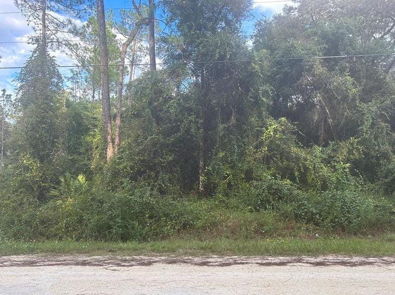 7374 Willoughby Dr, Webster, FL 33597 - MLS S5092064 for Sale