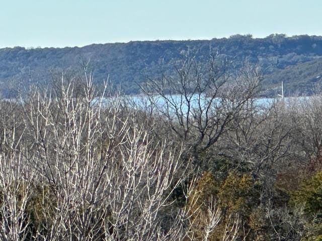 Lot 40 Prairie Falcon Ct, Possum Kingdom Lake, TX 76449 for Sale