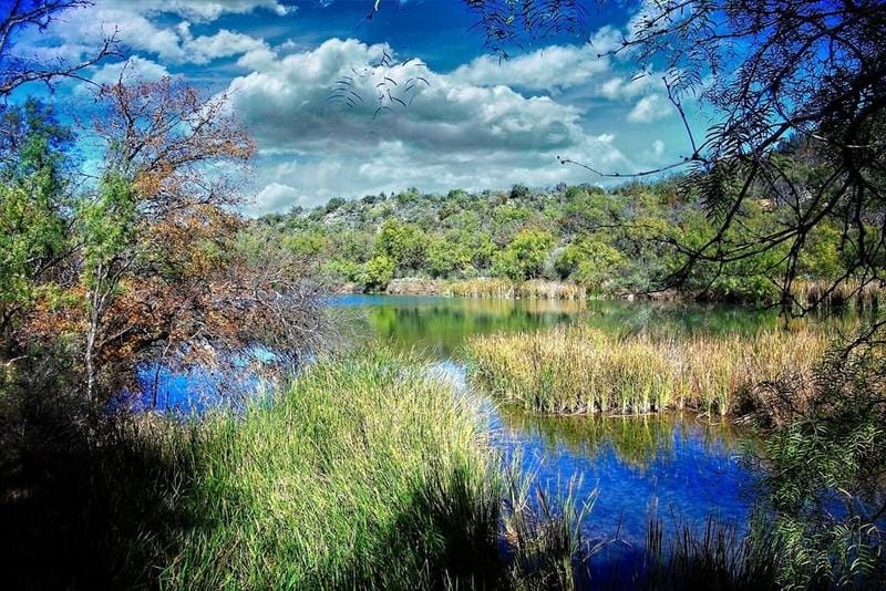 Tbd 425 FM 1929, Voss, TX 76888 for Sale