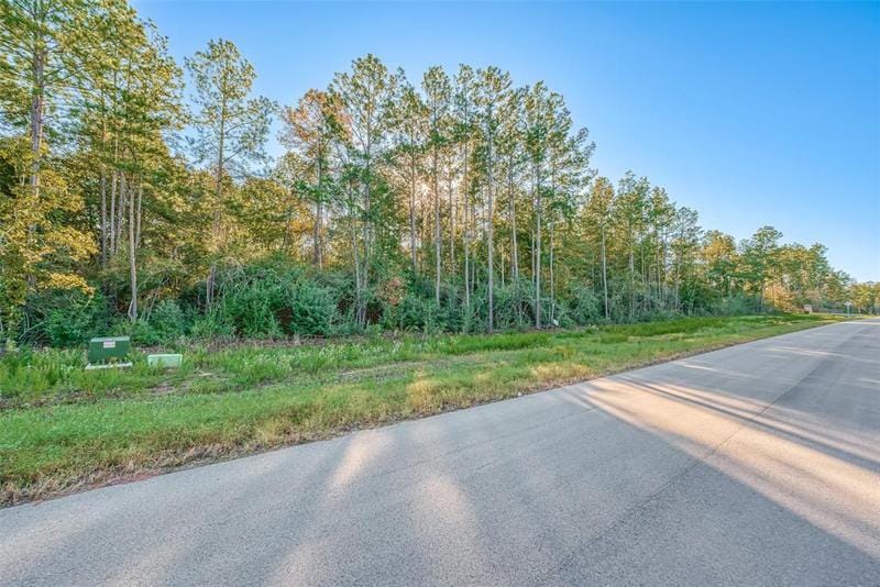 15660 Fire Sky Rd, Willis, TX 77378 for Sale