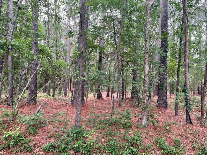 20348 County Road 4106 Lot 12, Lindale, TX 75771 for Sale