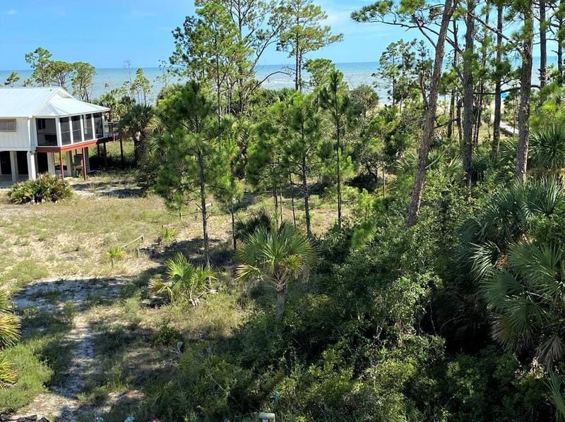 Lot 19 Red Hawk Ln, Port Saint Joe, FL 32456 - MLS 314657 for Sale
