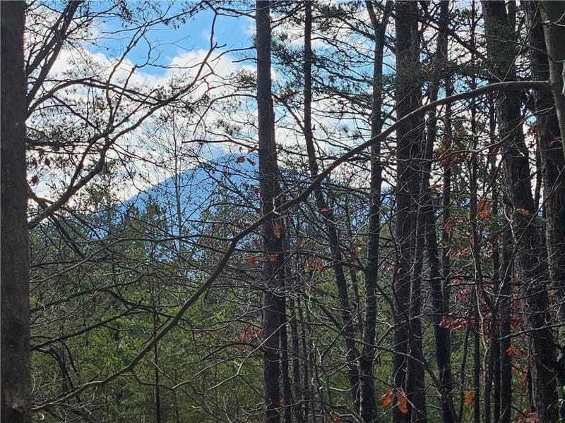 Helen, White County, GA Undeveloped Land, Homesites for sale Property ID: 418770527