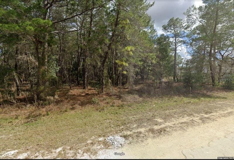 Weeki Wachee, Hernando County, FL Undeveloped Land, Homesites for sale Property ID: 417515726