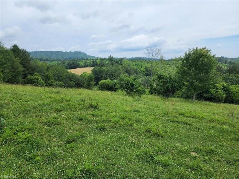 00 FOX RIDGE ROAD, Glade Valley, NC 28627 Land For Sale  MLS# 1125479