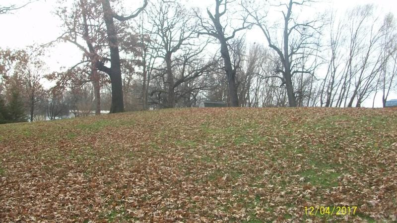 219 West Mulberry Street, Watseka, IL 60970 for Sale