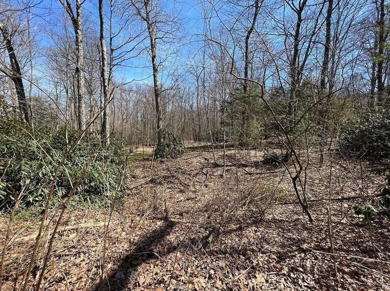 0 Mountain Ave, Schuylkill County, PA 18252 - MLS 714316 for Sale