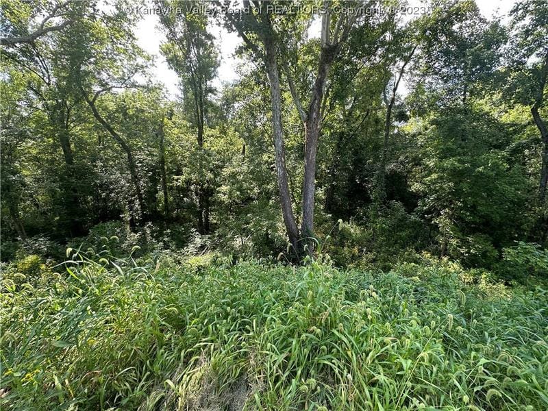 0 PIKE STREET STREET, Hartford, WV 25247 Land For Sale  MLS# 266790