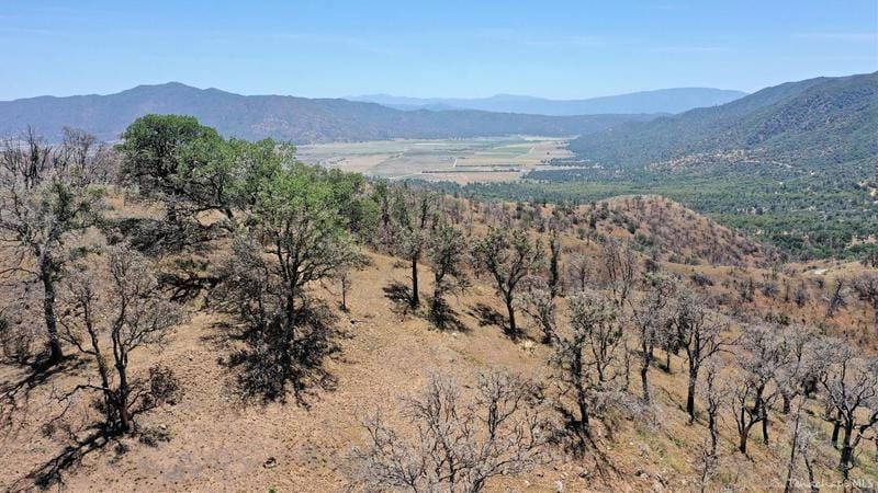 Caliente, Kern County, CA Undeveloped Land for sale Property ID: 413679866