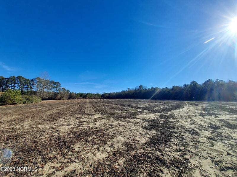 Macclesfield, Pitt County, NC Undeveloped Land for sale Property ID: 418544989
