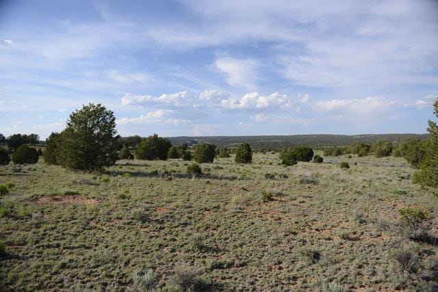 5.02 Acres New Mexico Land for Sale near Ramah