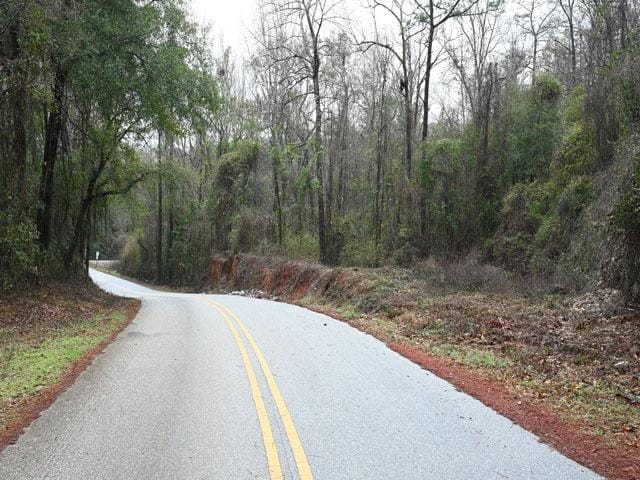 Alabama Land 2.18 Acres - Monroeville, AL for Sale