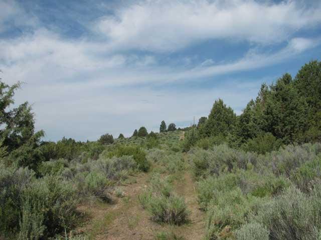 Oregon land 1.7 Acres Walk to River for Sale
