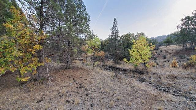 Northern California Land 1.1 Ac. Paved Rd, River Close for Sale