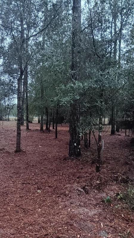 Bronson, Levy County, FL Undeveloped Land, Homesites for sale Property ID: 418609040