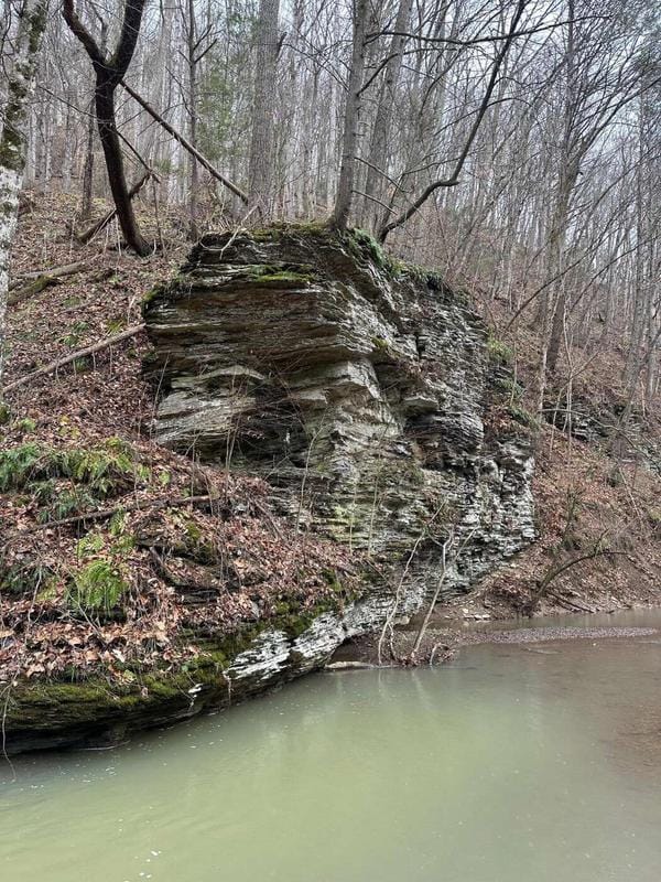 Tbd Hans Creek, Greenville, WV 24945  627527825 for Sale