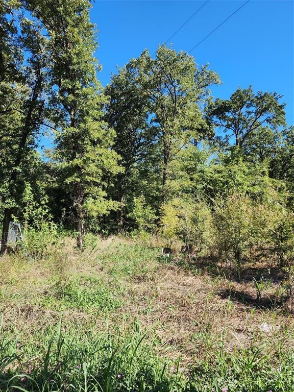 TBD Raven Row, Quinlan, TX 75474 for Sale