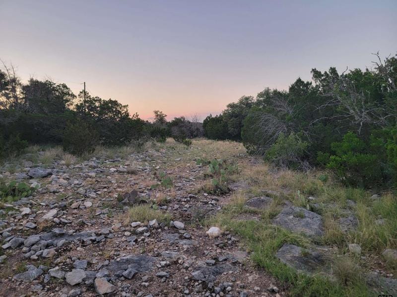 Lot 44 Deer Park, Rocksprings, TX 78880 - MLS 23009322 for Sale