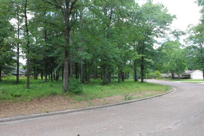 Jasper, Jasper County, TX Undeveloped Land, Homesites for sale Property ID: 414244004