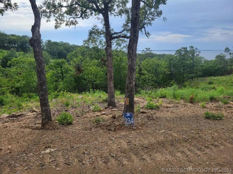 234 PATRIOT POINTE, Eufaula, OK 74432 Land For Sale  MLS# 2405759