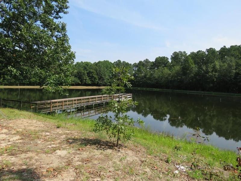 Neeses, Orangeburg County, SC Undeveloped Land for sale Property ID: 417468818
