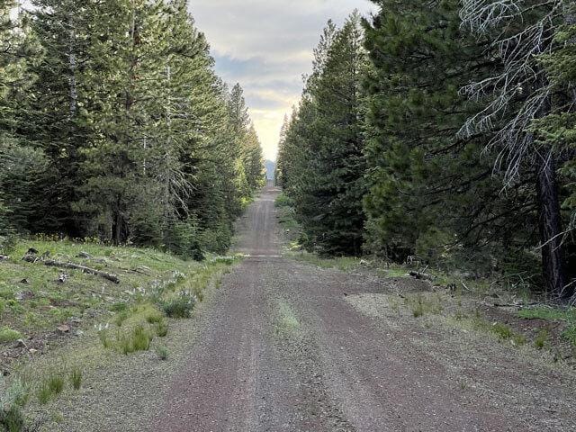 California Land for Sale, 0.92 Acres, near Alturas