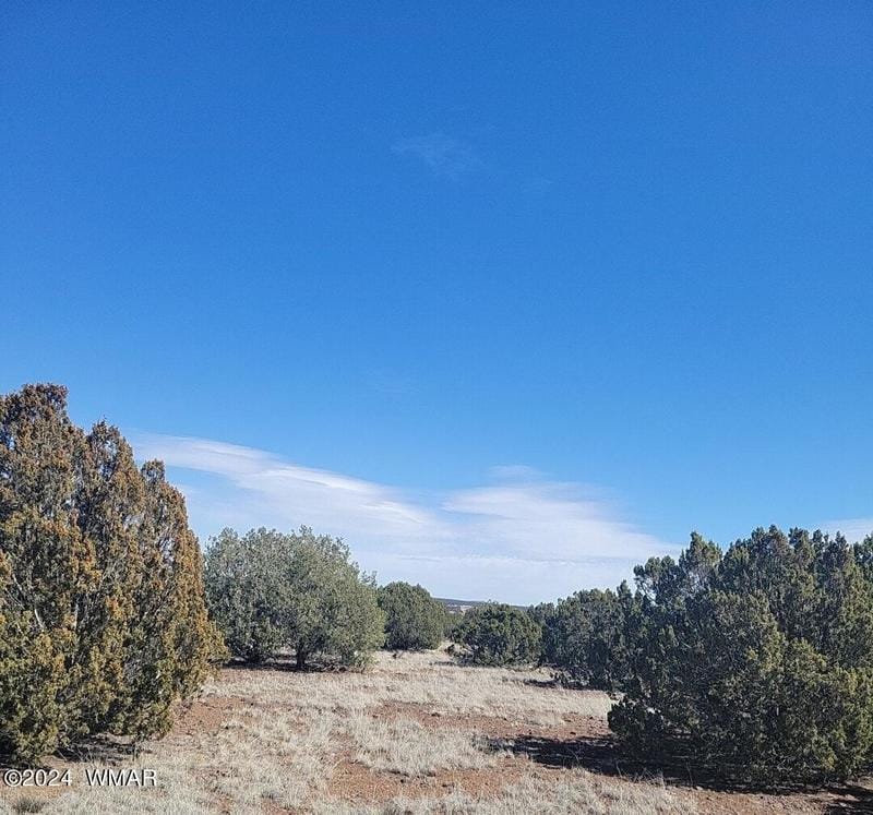 Show Low, Stunning 2.04 acre horse property in the White for Sale