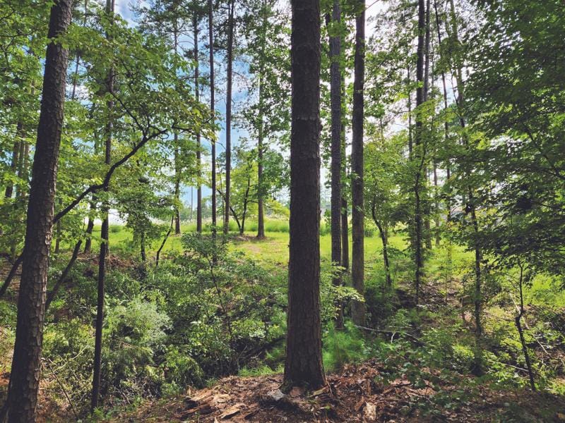 Greensboro, Golf Course Lot,69 Acres , Cul-de-Sac for Sale