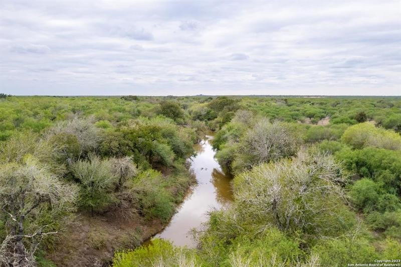 TBD County Road 436, Three Rivers, TX 78071 for Sale