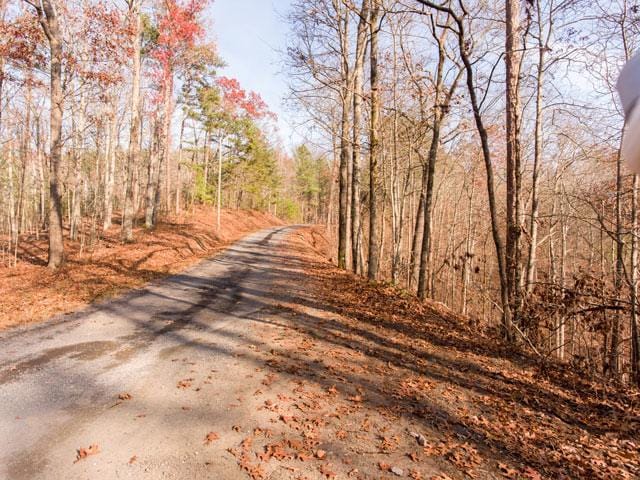 Georgia Land for Sale 1.5 Acres - Exclusive Community