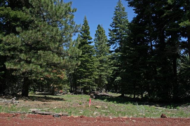 Northern California Forest Land.92 Acres for Sale
