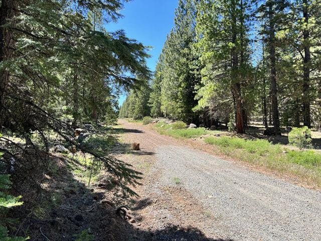 N. California Land for Sale, 0.9 acres, near Alturas