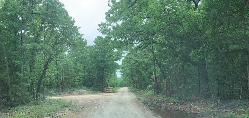 Carson, Fannin County, TX Undeveloped Land for sale Property ID: 413721251