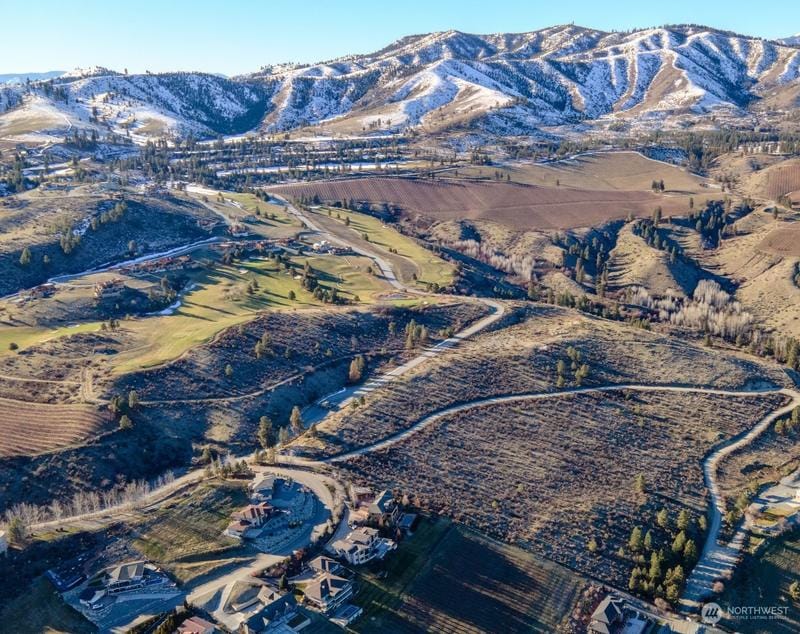 0 Lot C Bear Mountain Ranch Rd, Chelan, WA 98816 - MLS 2196675 for Sale