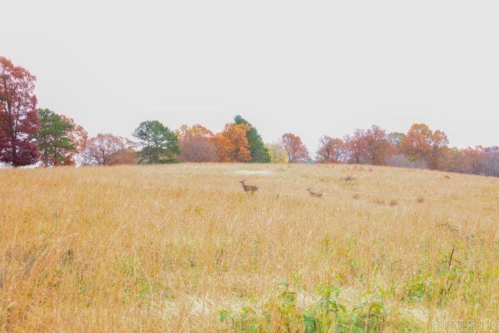 Hardy, Sharp County, AR Undeveloped Land for sale Property ID: 418459884