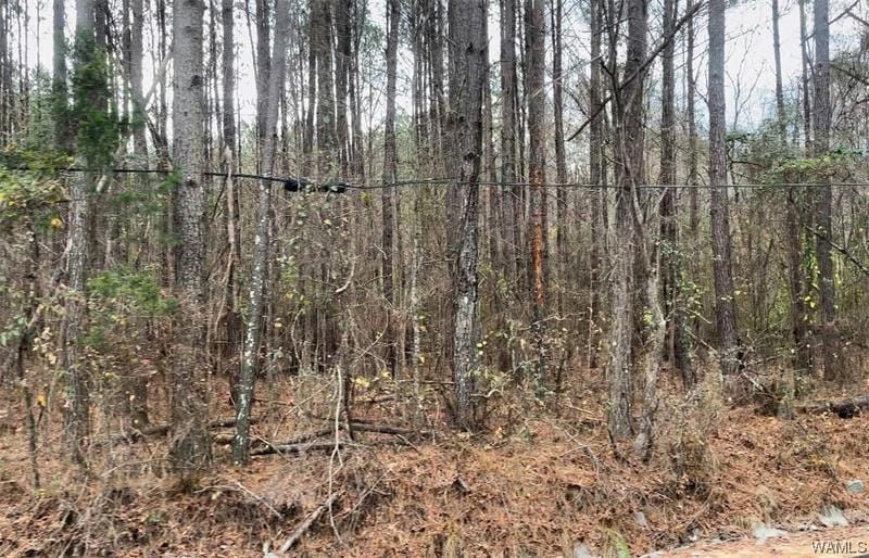 0 DRY CREEK ROAD, Fosters, AL 35463 Land For Sale  MLS# 160365