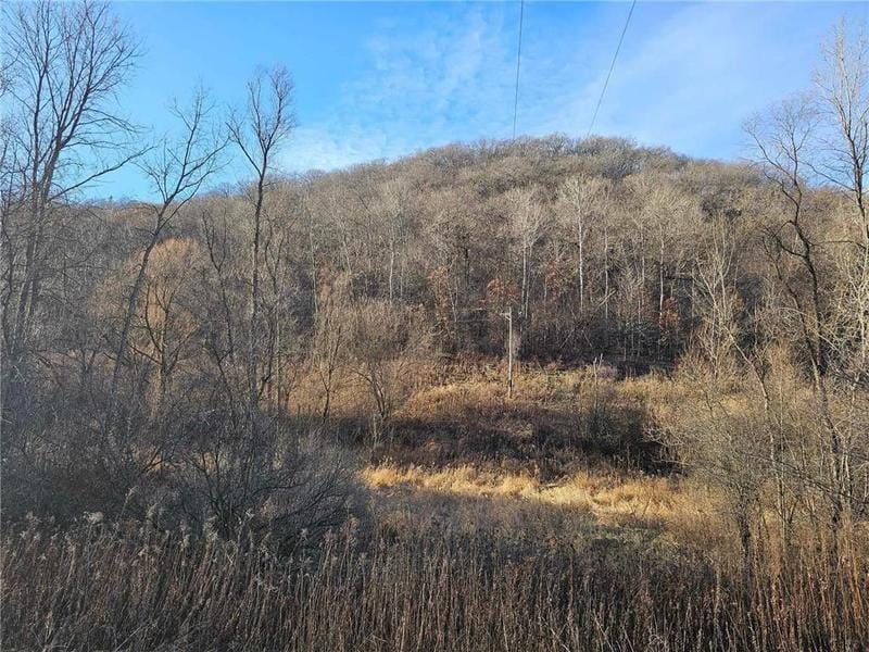 Goodview, Winona County, MN Undeveloped Land for sale Property ID: 418496277