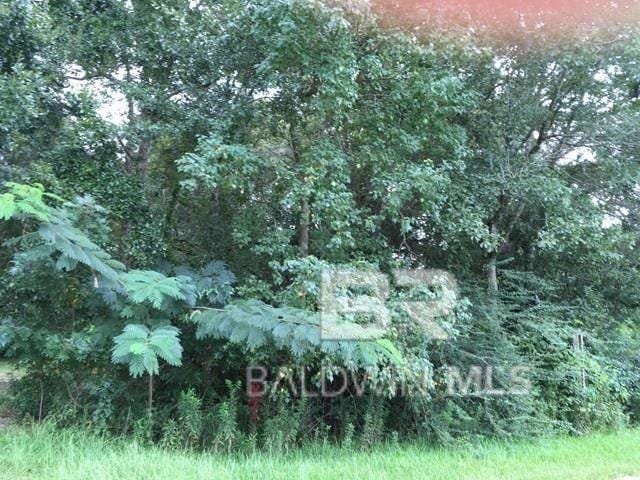 Daphne, Baldwin County, AL Undeveloped Land for sale Property ID: 418778476