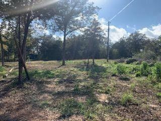 Smithville, Bastrop County, TX Undeveloped Land, Homesites for sale Property ID: 418573914