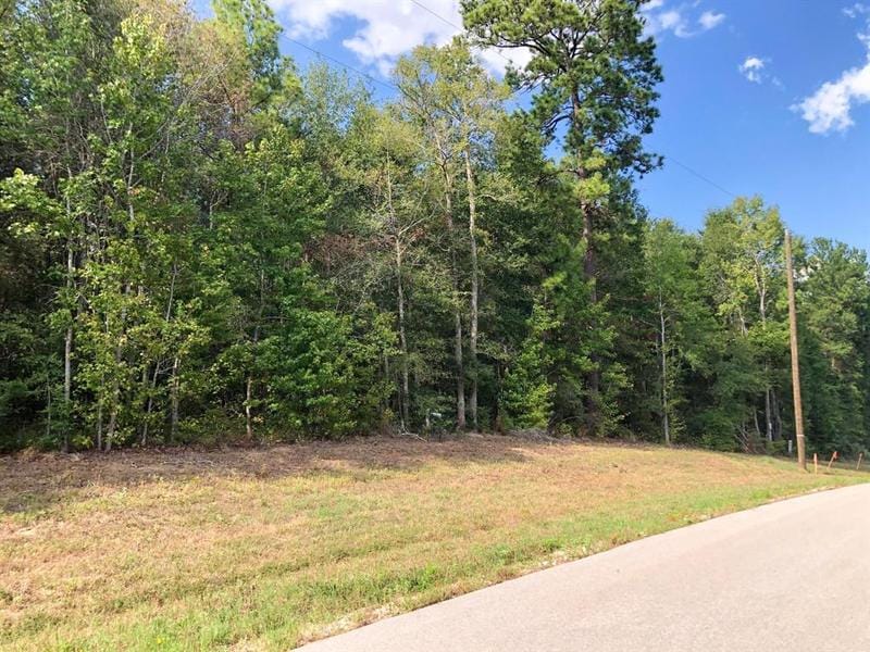 Brahman Ln, New Waverly, TX 77358 for Sale