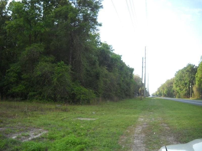 Lot 13 State Rd 349N, Old Town, FL 32680  MLS# 784096 for Sale