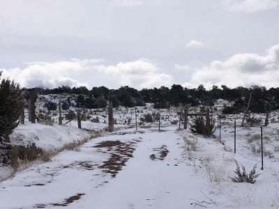 Us Highway 85 87 for Sale