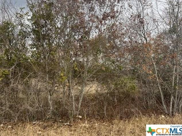 665 County Rd 4810, Copperas Cove, TX 76522 - MLS 494608 for Sale