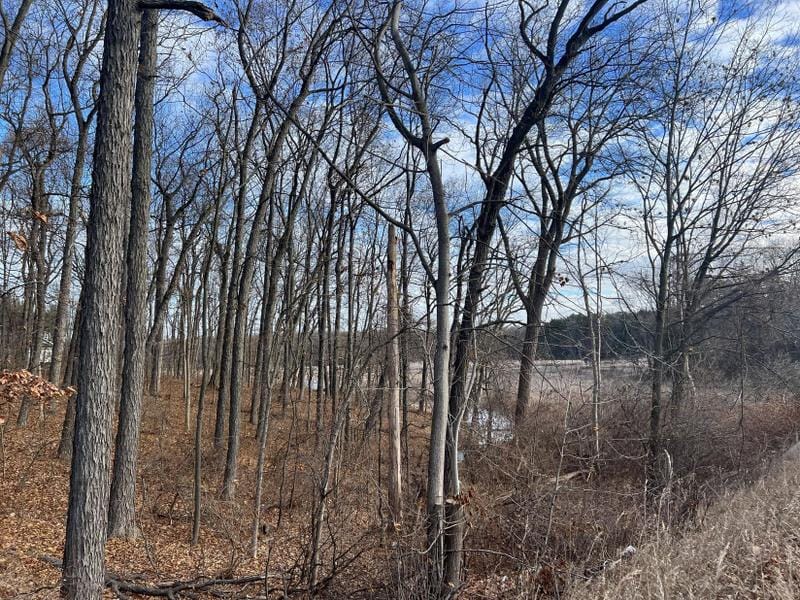 Richland, Kalamazoo County, MI Homesites for sale Property ID: 418496237