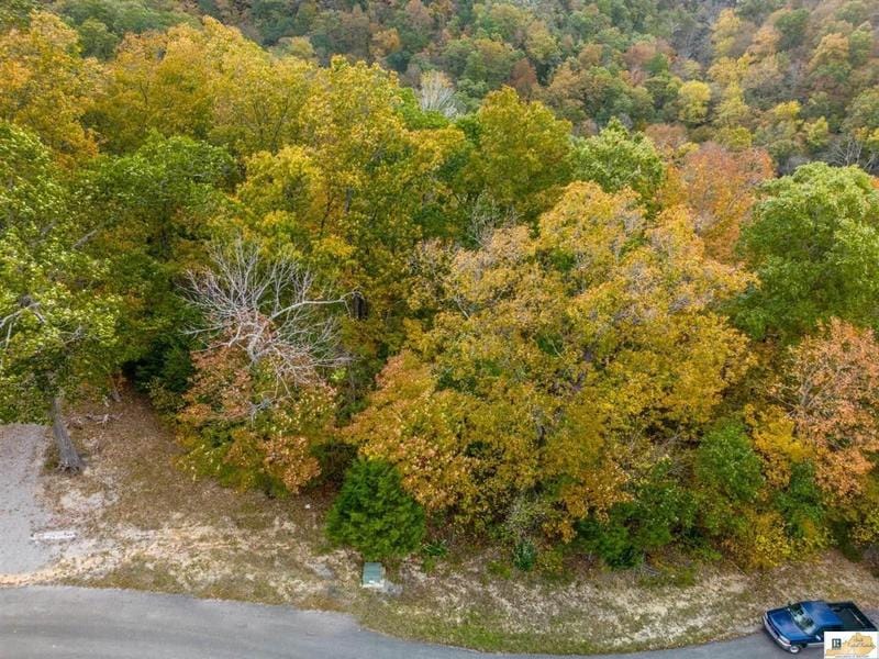 Russell Springs, Russell County, KY Homesites for sale Property ID: 417948388