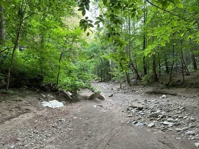 Wilder, Fentress County, TN for sale Property ID: 416641976