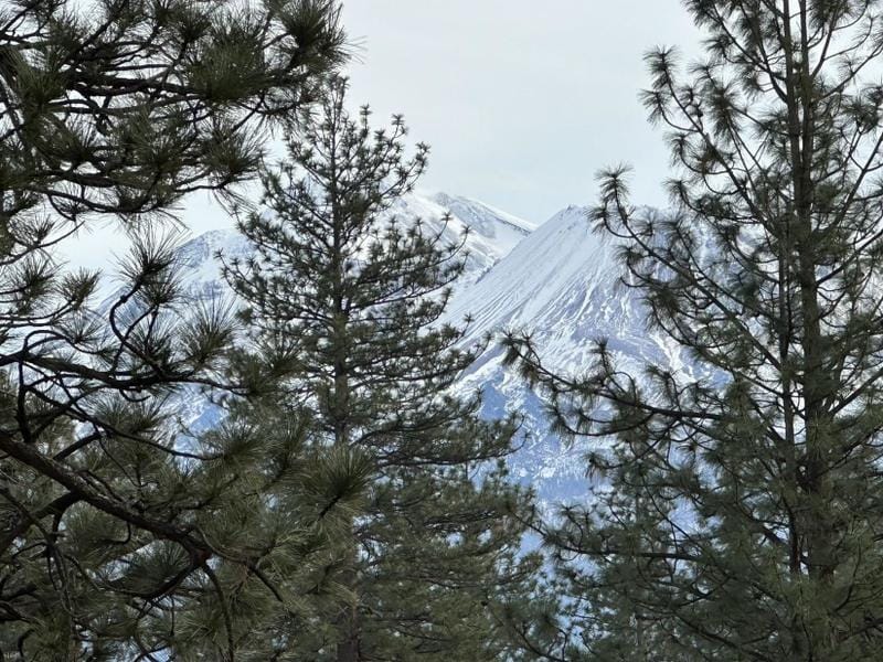 Weed, Siskiyou County, CA Homesites for sale Property ID: 418531801