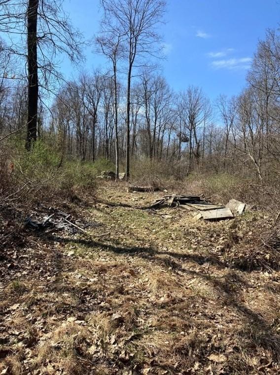 Lot A Moniteau Rd, Cherry Township, PA 16061 - MLS 1600237 for Sale
